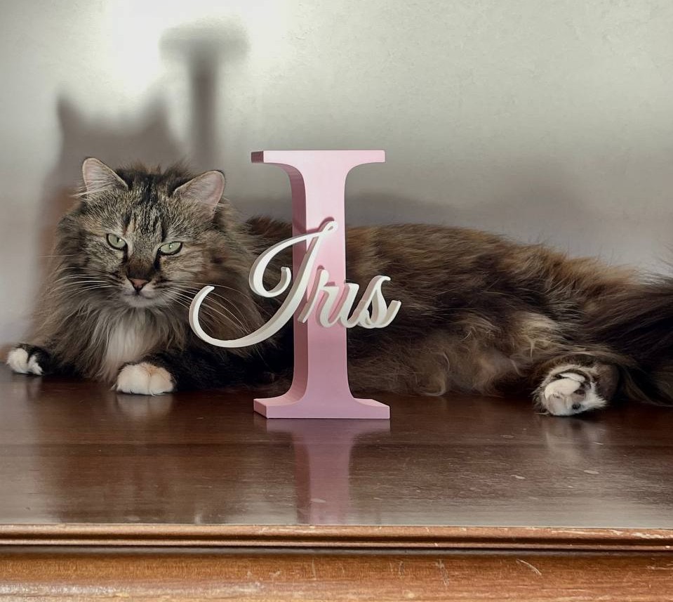 Scritte 3D Personalizzate - immagine 1